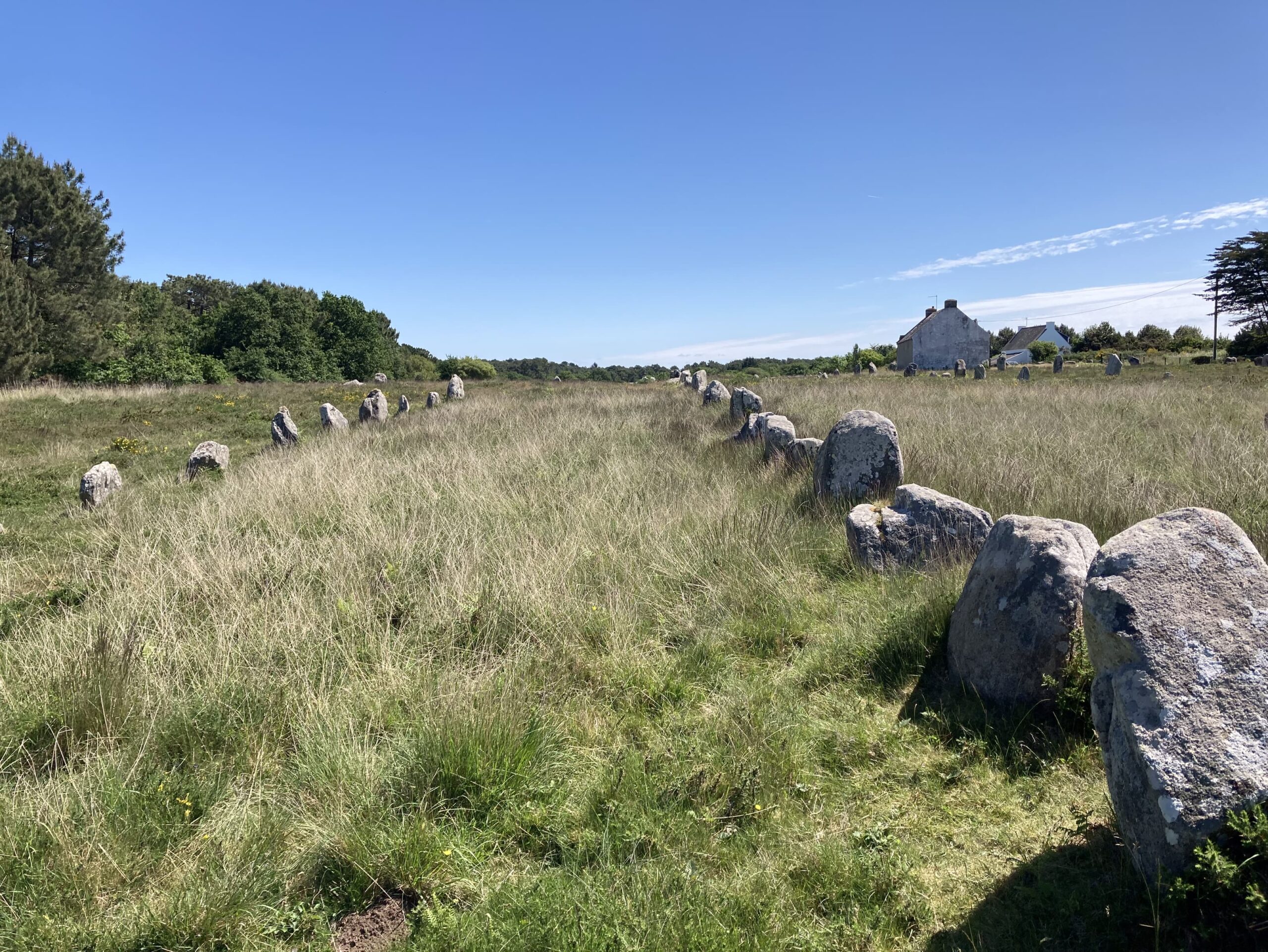 #20 Die Steinreihen von Carnac