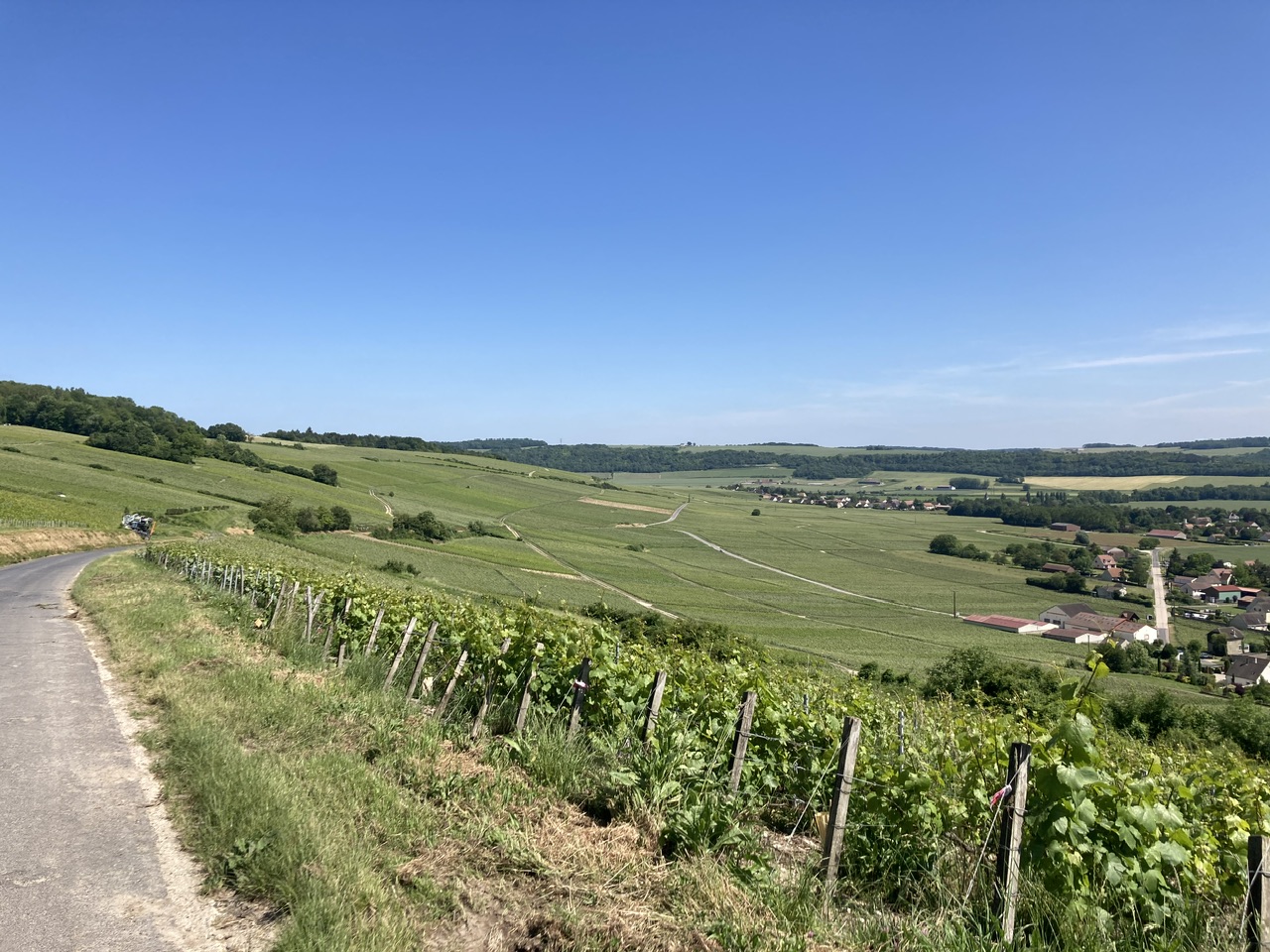 #08 In die Wiege des Champagners