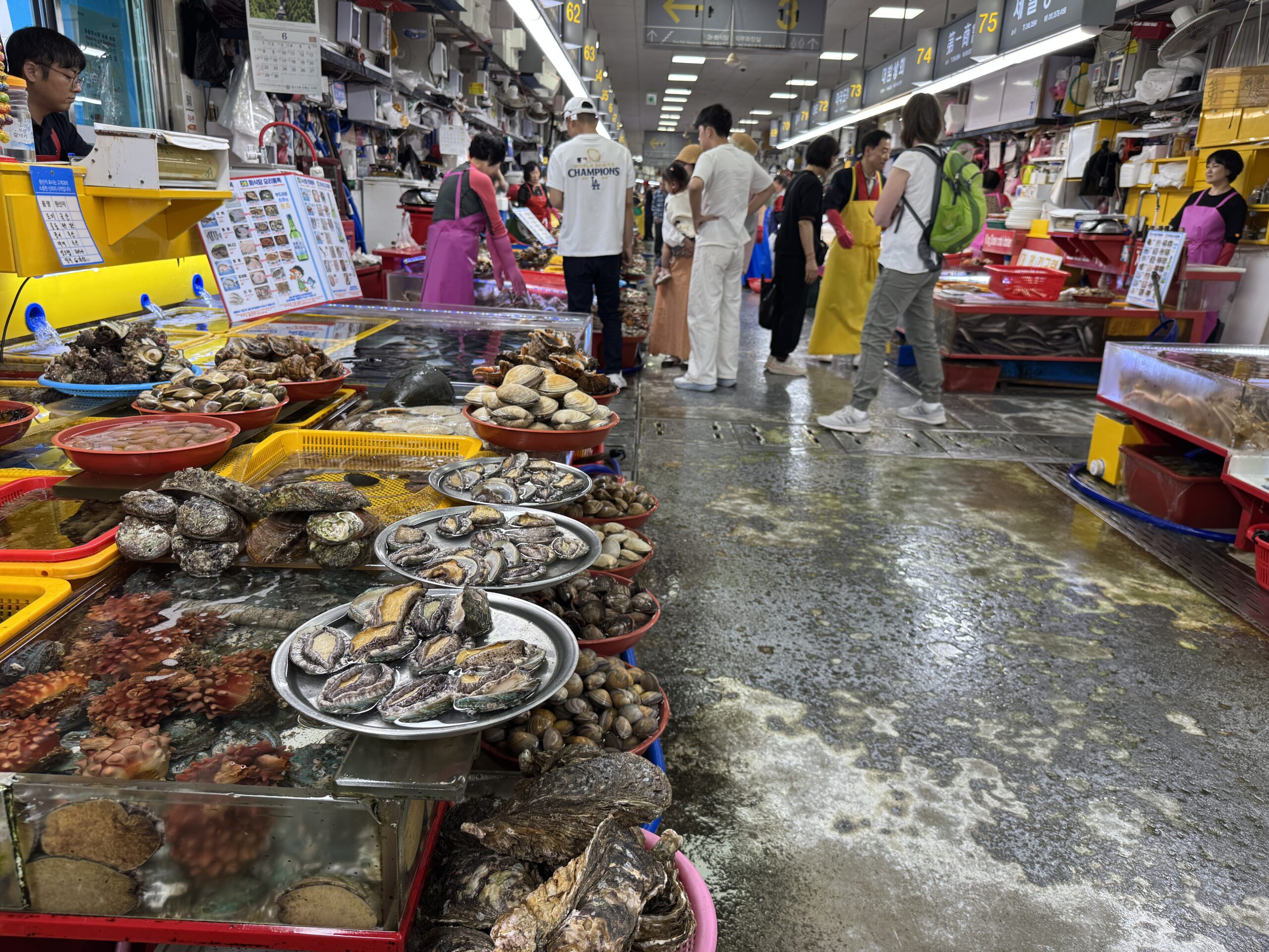 #10 Busan – zwischen Hochhäusern, Fischmarkt und Dorf